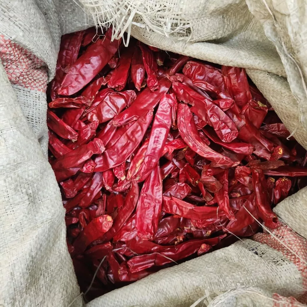 Dried red chillies in a sack