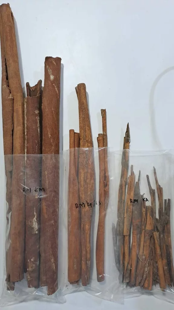Cinnamon bark